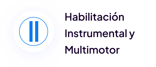 Habilitación Instrumental y Multimotor